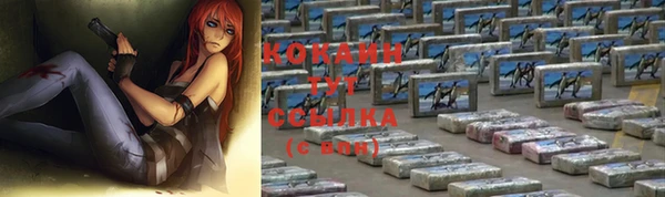 тгк Елизово