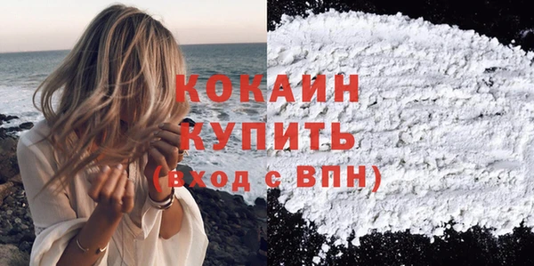 тгк Елизово