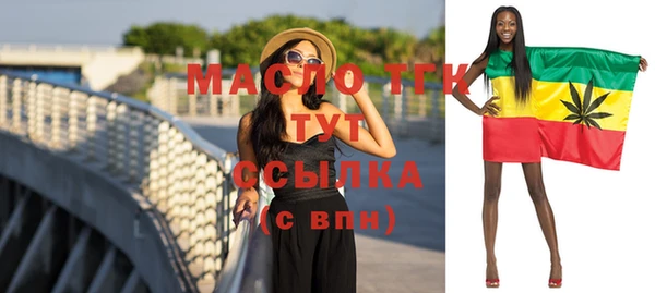 эйфоретик Ельня