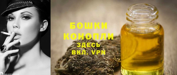 тгк Елизово