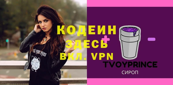 эйфоретик Ельня