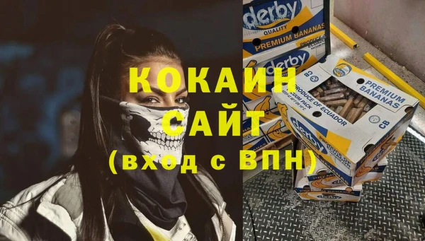 тгк Елизово