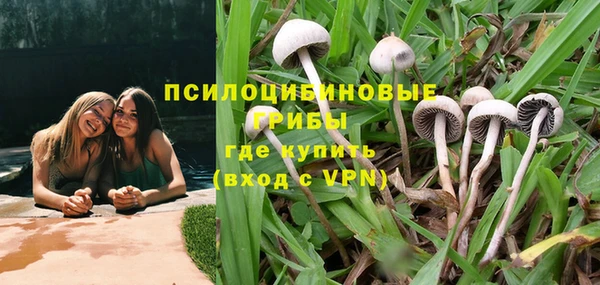 эйфоретик Ельня
