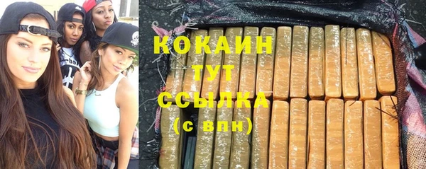 эйфоретик Ельня