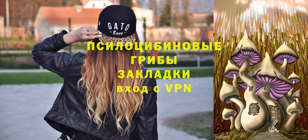 2c-b Елабуга