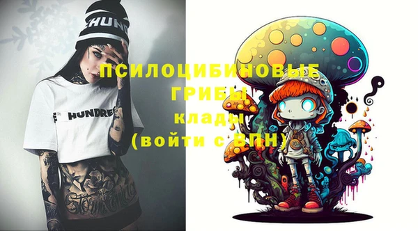 2c-b Елабуга