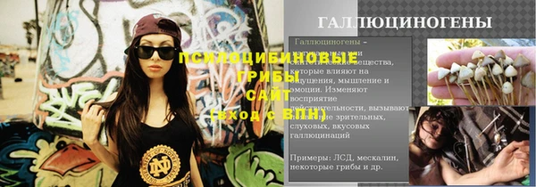 тгк Елизово
