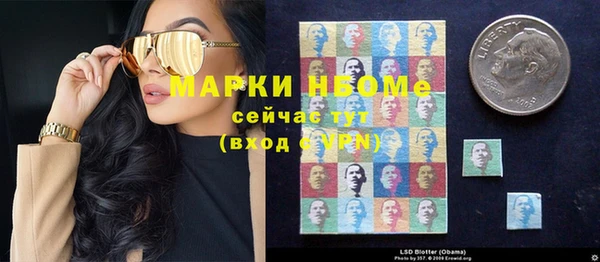 эйфоретик Ельня