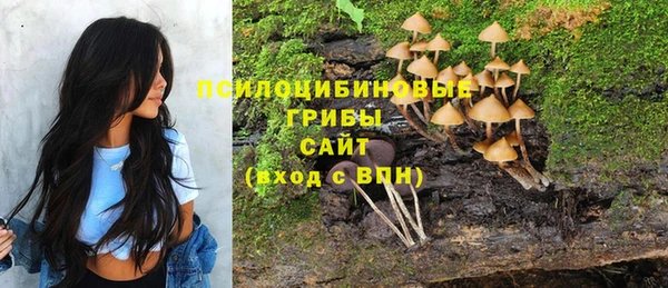 герыч Дмитровск