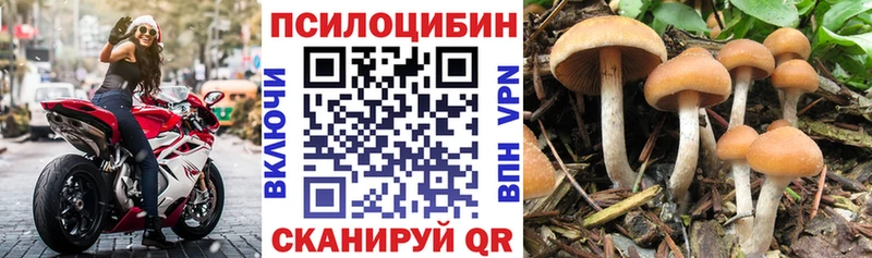 Галлюциногенные грибы мицелий  где купить   Заречный 